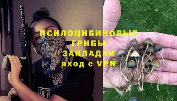 прущий лед Алексин