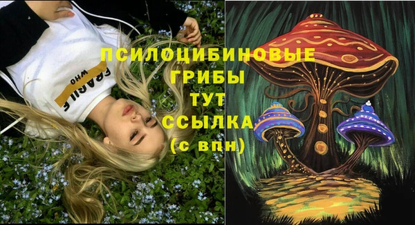прущие крисы Алзамай
