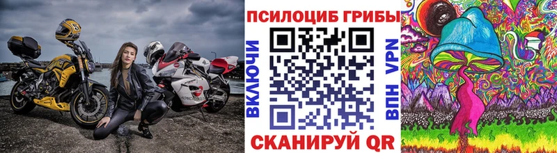Псилоцибиновые грибы Cubensis Курган